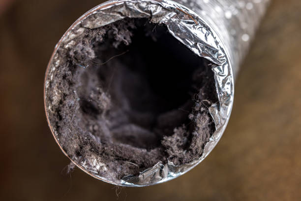 Best Air Duct Cleaning Near Me  in Whitmire, SC