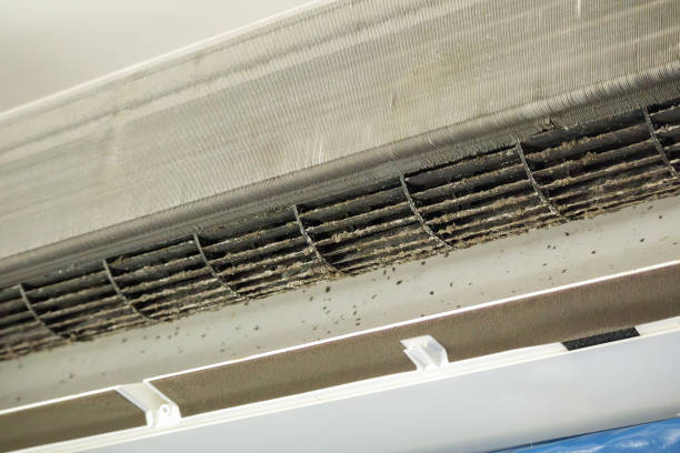 Best Air Duct Cleaning Company Near Me  in Whitmire, SC